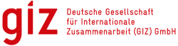 Deutsche Gesellschaft für Internationale Zusammenarbeit (GIZ)