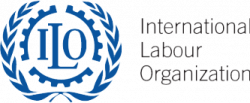 International Labour Organization (ILO)